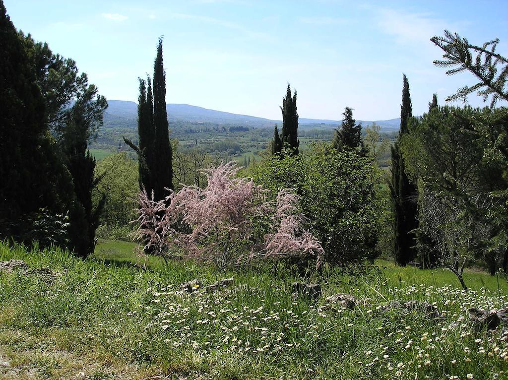 Villa Magda Chiusi Exteriör bild