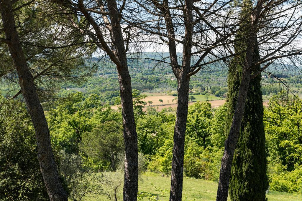 Villa Magda Chiusi Exteriör bild